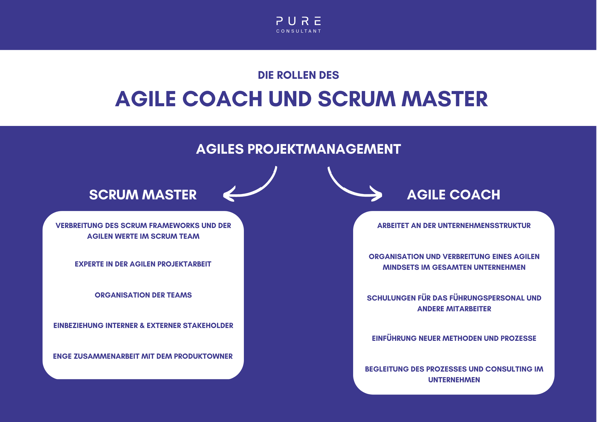 Scrum Master und Agile Coach