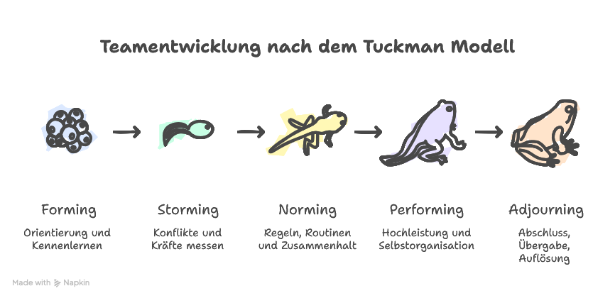 Tuckman Modell erklärt